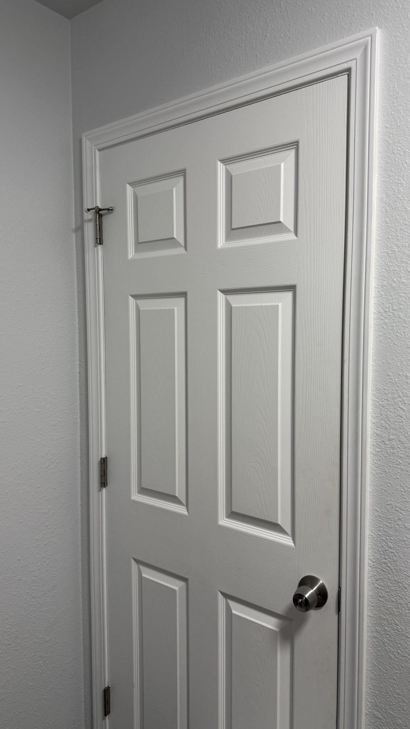 Interior door project 1